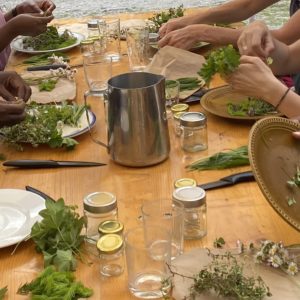 Workshop SOS-Balsam und Badesalz mit Heilpflanzen